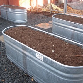 Compost in high galvanized steel beds