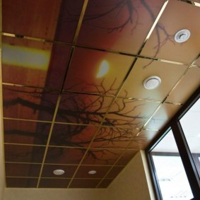 Cassette ceiling with integrated lights