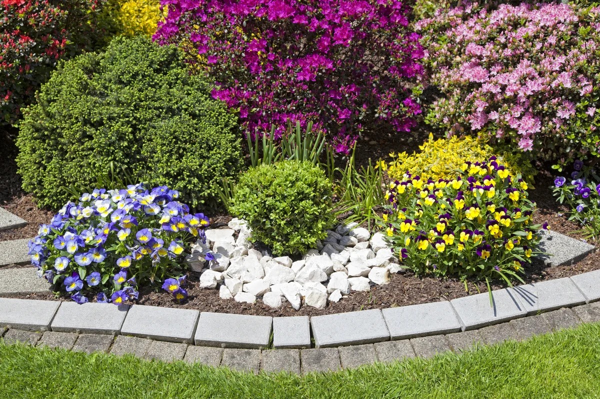 flower beds with flowers