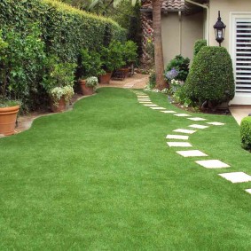 lawn landscaping